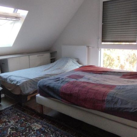 Ferienwohnung Au Coeur Du Vignoble Kaysersberg-Vignoble Exterior foto